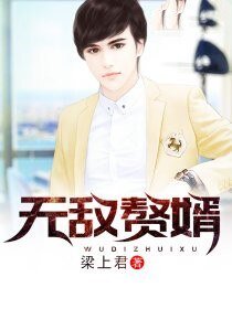 《無敵贅婿》