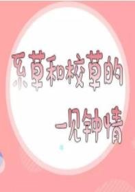 系草和校草的一见钟情