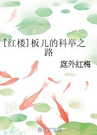 （紅樓同人）[紅樓]板兒的科舉之路