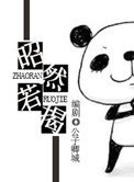 《昭然若揭》
