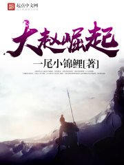 《大趙崛起》