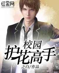 《校園護花高手/護美高手混都市》