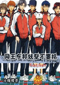 《(綜漫同人)網王東邦妖孽不要拐》