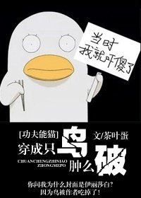 《(功夫熊猫同人)穿成只鸟肿么破》