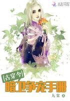《暗衛爭寵手冊》