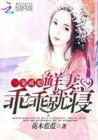 一寵成癮：鮮妻，乖乖就寢