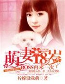 《萌妻18歲:BOSS再來一次》