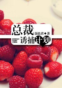 《總裁誘捕計劃(原版+新版)》