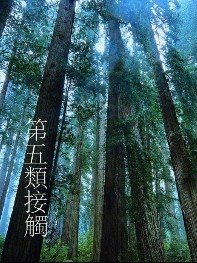 《第五类接触》
