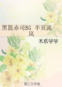 《(黑籃同人)黑籃赤司BG 半頁流嵐》