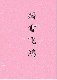 踏雪飛鴻