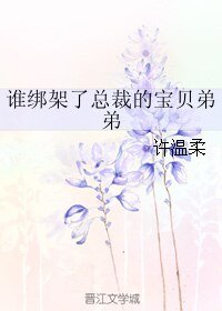 誰綁架了總裁的寶貝弟弟