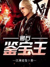 賭石鑑寶王