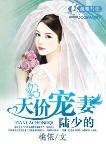 《陸少的天價寵妻》