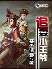 《追妻小王爺》