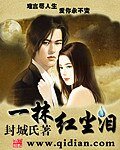 一抹紅塵淚