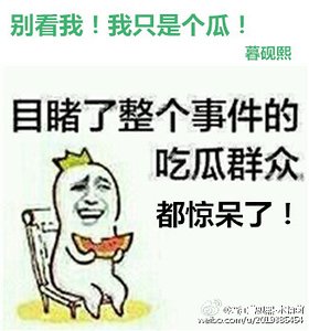《別看我!我只是個瓜!》