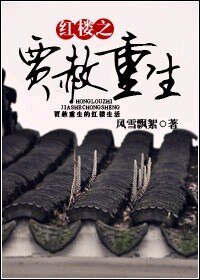 《(紅樓夢同人)紅樓之賈赦重生》