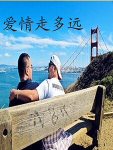 《愛情走多遠》