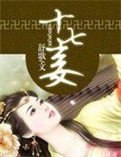 十七妾：腹黑王爺九等侍妾