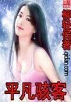 《平凡駭客》
