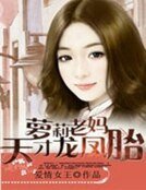 《蘿莉老媽:天才龍鳳胎》