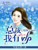 超級大BOSS：總裁我有VIP