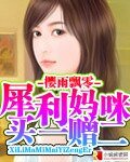 《犀利媽咪 買一贈二》