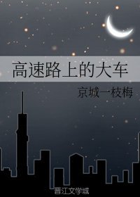 《高速路上的大車》