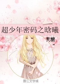 《(BG/超少年密碼同人)超少年密碼之晗曦》