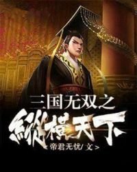《三國無雙之縱橫天下》