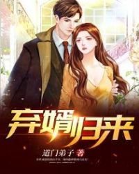 《棄婿歸來》