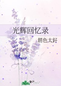 《光輝回憶錄》