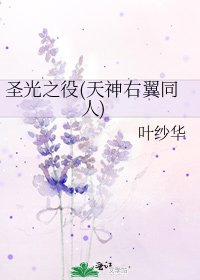 《聖光之役(天神右翼同人)》