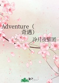 《Adventure(奇遇)》