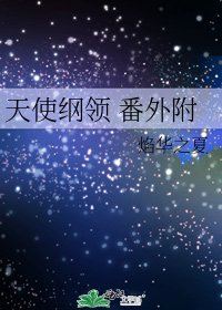 《天使纲领 番外附》