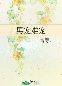 《男寵難寵》