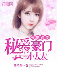 夜撩甜妻：秘愛豪門小太太/秘愛豪門小太太