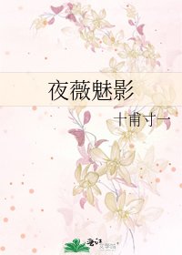 《夜薇魅影》