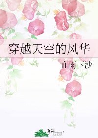 《穿越天空的風華》