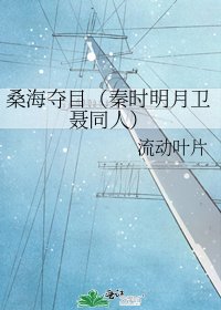 《桑海奪目(秦時明月衛聶同人)》