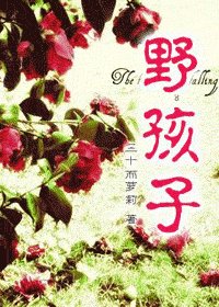 《野孩子》