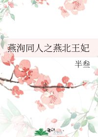 《燕洵同人之燕北王妃》