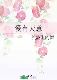 《愛有天意》