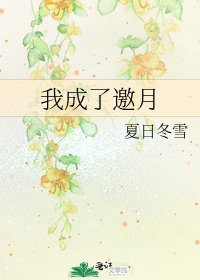 《我成了邀月》