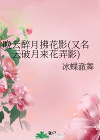 《晚雲醉月拂花影(又名雲破月來花弄影)》