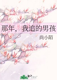 那年，我追的男孩