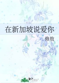 《在新加坡说爱你》