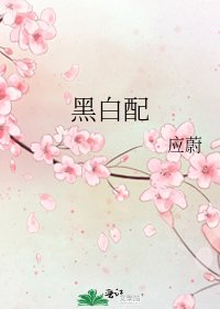 《黑白配》