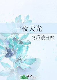 《一夜天光》